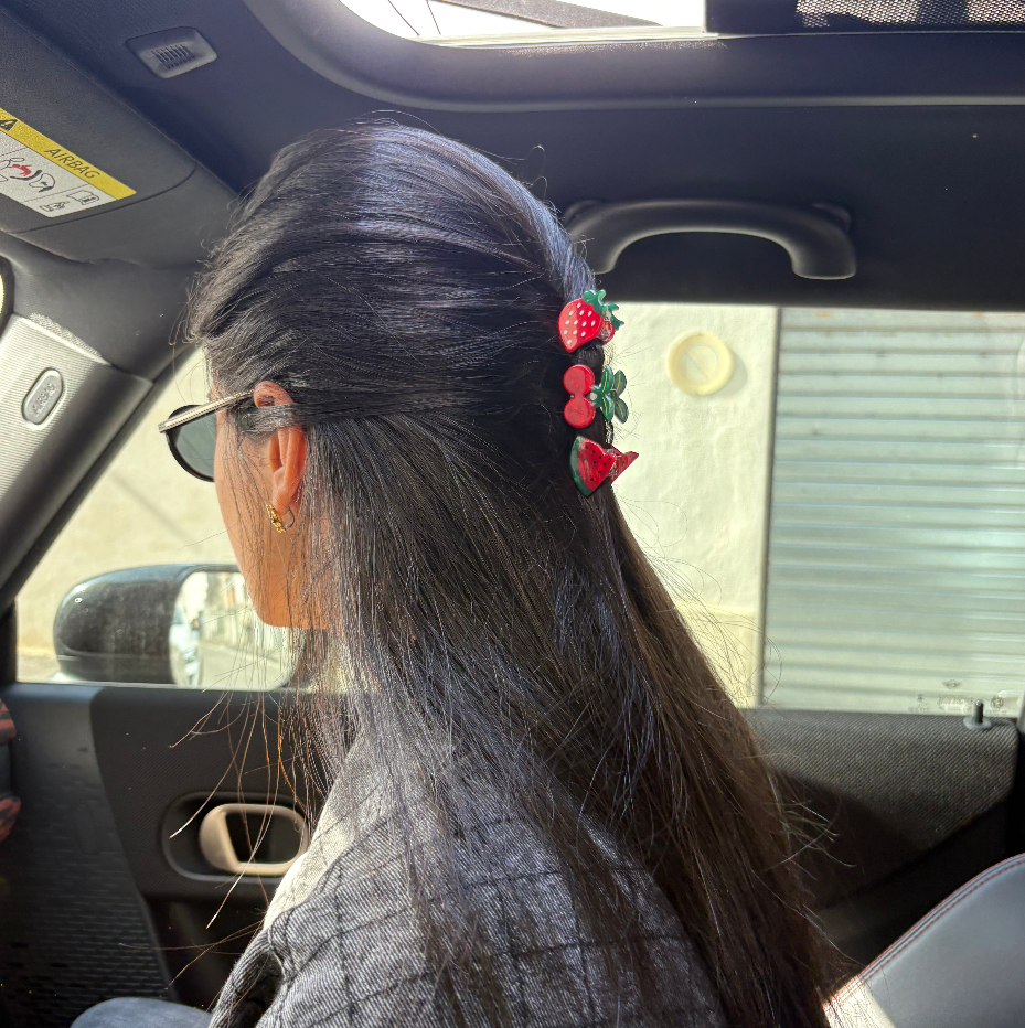 Mini Pince Watermelon